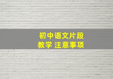 初中语文片段教学 注意事项